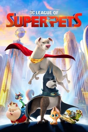DC Süper Evciller Takımı