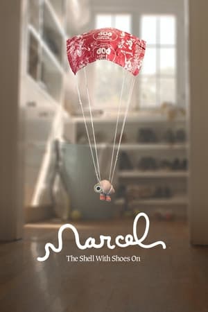 Deniz Kabuğu Marcel