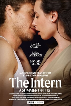 The Intern – Bir Yaz Aşkı