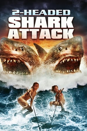 2-Başlı Köpekbalığı Saldırısı