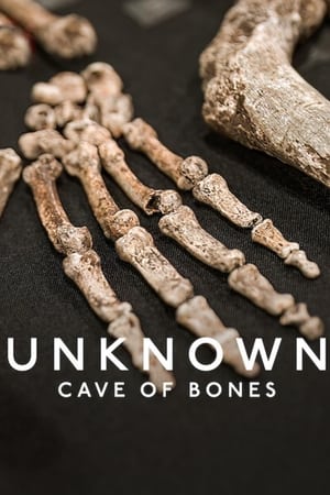 Bilinmeyen: Kemik Mağarası