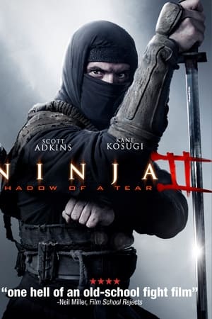Ninja 2: Gözyaşının Gölgesi