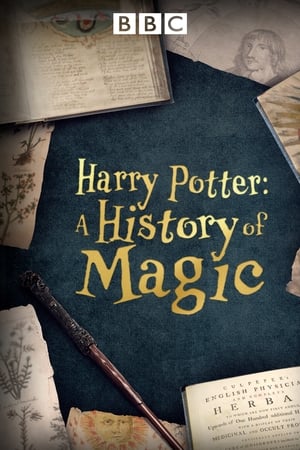 Büyülü Dünya: Harry Potter’ın Tarihi