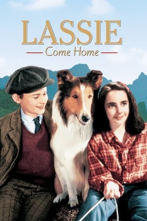 Lassie Eve Dönüyor