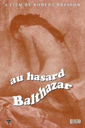 Rastgele Balthazar